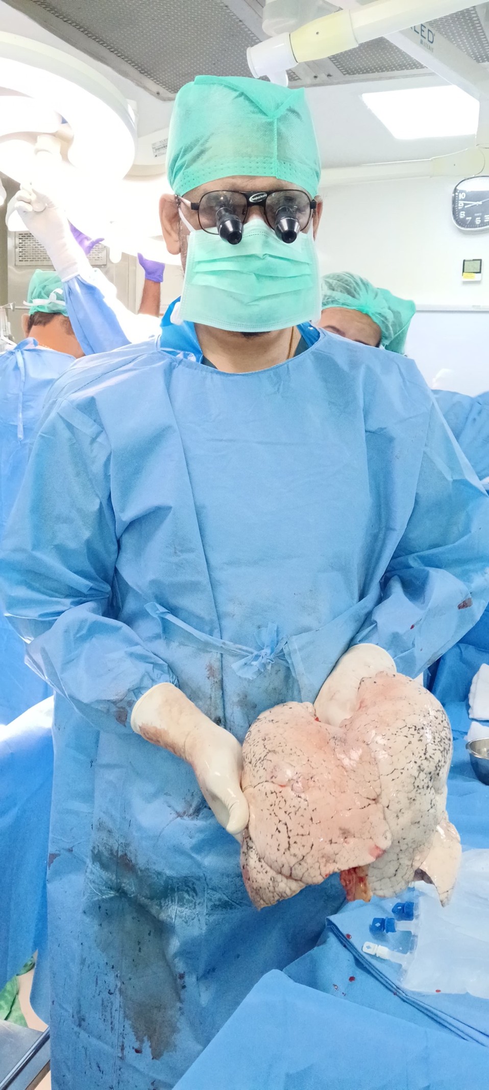 Professional Journey